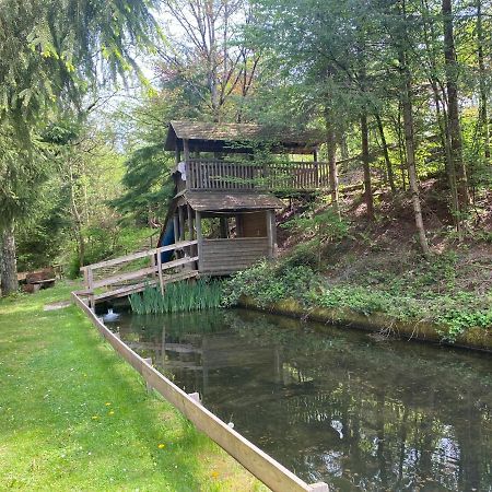 Hotel-Restaurant Theis-Muehle Biersdorf エクステリア 写真