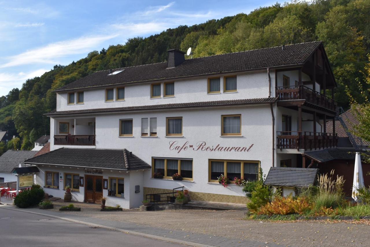 Hotel-Restaurant Theis-Muehle Biersdorf エクステリア 写真